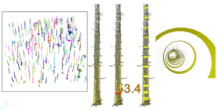Fig. 2 Individual tree point clouds and accurate measurement of location, DBH and tree stem curvature