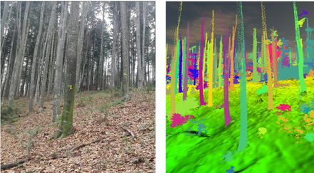 Fig.: Trees with unique ID in the field (left) and the corresponding point clouds (right) generated with TLS (Terrestrial Laser Scanner)